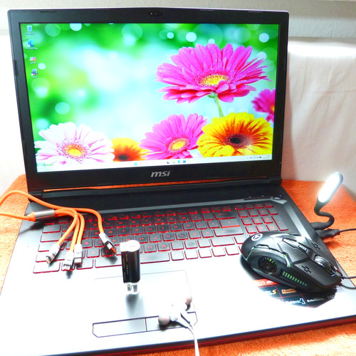 Msi gl73 8rc dragon - 8rc,